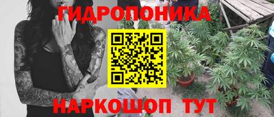 прущие крисы Татарск