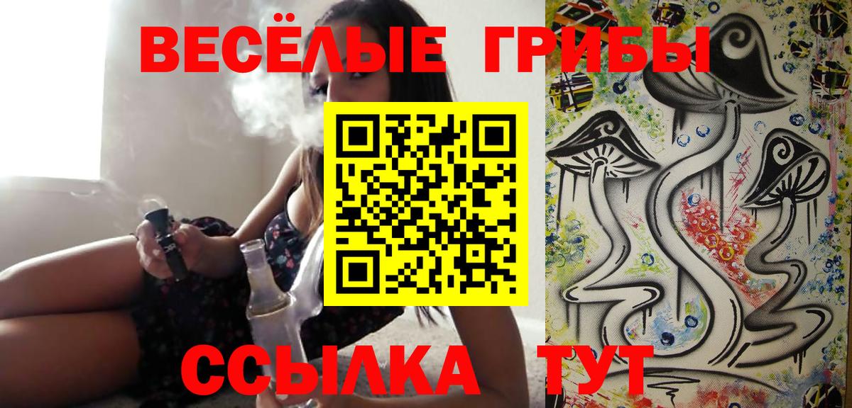 Псилоцибиновые грибы Cubensis Минусинск